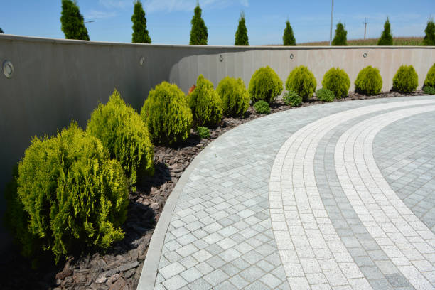 Reasons to Select Us for Your Driveway Paving Requirements in Cedar Hill, MO